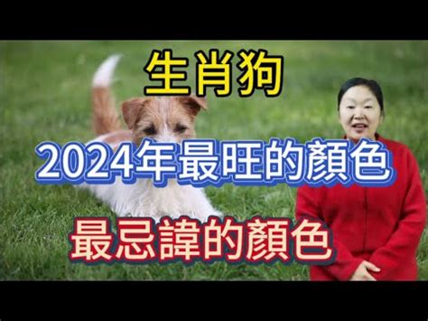 屬狗幸運顏色|屬狗2024運勢丨屬狗增運顏色、開運飾物、犯太歲化。